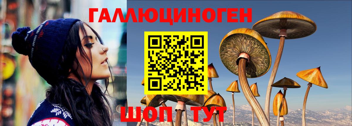 Галлюциногенные грибы MAGIC MUSHROOMS  Галлюциногенные грибы прущие грибы  Вход с VPN  Заволжье 